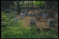116086 Roman Ruins, Nice A4 Photo Print