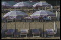 116088 Parasol On The Beach, Cannes A4 Photo Print