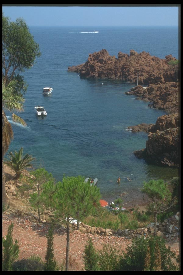 116099 Swimming At Bay, Long De La Cote D'Azur A4 Photo Print