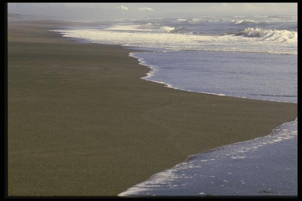 117004 Waves Receding From Beach, Near Arcata, CA A4 Photo Print