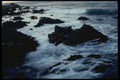117007 Rocks & Waves, Evening, Pacific Grove, CA A4 Photo Print