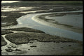 117013 Mudflats, Limantour Beach, Pt. Reyes, CA A4 Photo Print