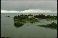 117015 Gulls & Pelicans On Rocks, Monterey, CA A4 Photo Print