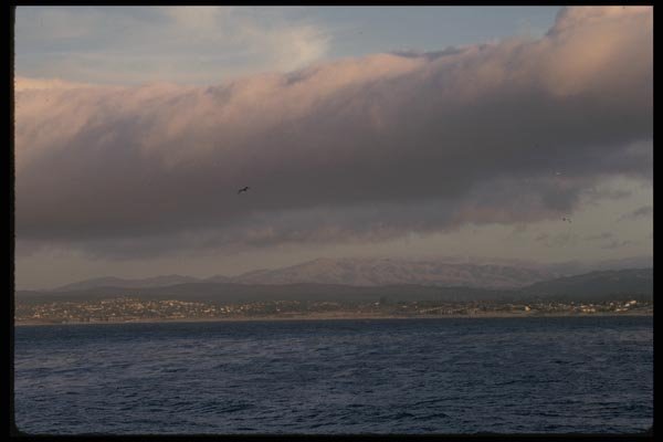 117016 Monterey Bay Shore, CA A4 Photo Print