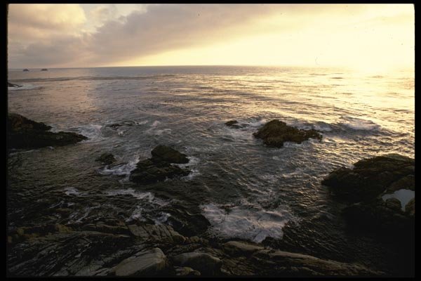 117019 Rocky Shore, Garapata State Park, CA A4 Photo Print