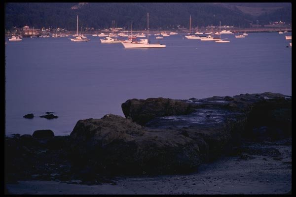 117021 Boats In Evening Light, Half Moon Bay, CA A4 Photo Print
