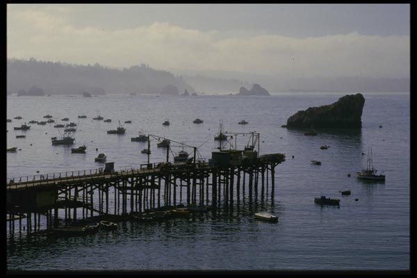 117022 Pier, Trinidad, CA A4 Photo Print