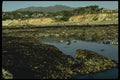 117023 Rocks At Low Tide, Moss Beach, CA A4 Photo Print