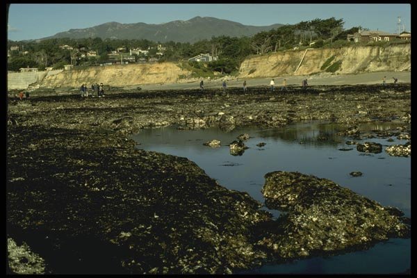 117023 Rocks At Low Tide, Moss Beach, CA A4 Photo Print