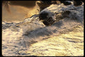 117035 Waves Breaking On Beaches, Humboldt County, CA A4 Photo Print