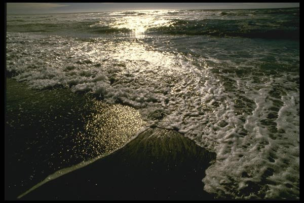 117036 Waves Breaking On Beaches, Humboldt County, CA A4 Photo Print
