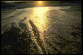 117041 Sunset & Incoming Fog, San Mateo County, CA A4 Photo Print