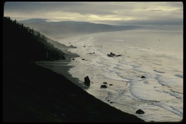 117046 Waves In Cove, Redwood Nat'l Park, CA A4 Photo Print