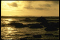 117060 Gulls & Surf At Sunset, King Range, CA A4 Photo Print