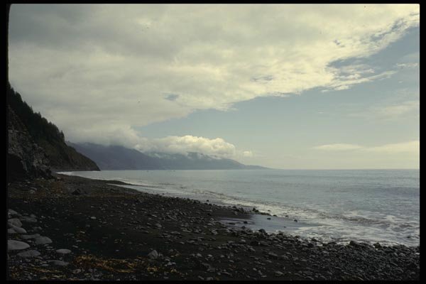 117064 Black Sand Beach, Cliffs, King Range, CA A4 Photo Print