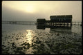117066 Boathouse, Tomales Bay, CA A4 Photo Print