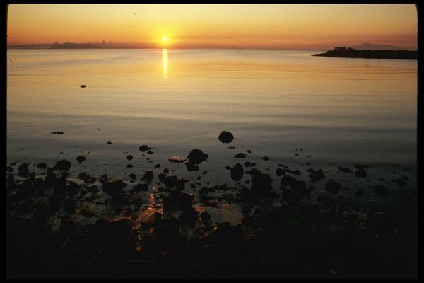 117069 San Francisco Bay, From Berkeley, CA Shore A4 Photo Print