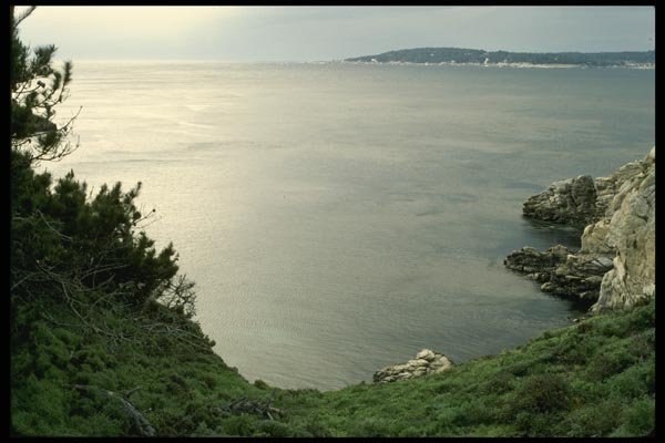117074 Monterey Bay From Pt. Lobos, CA A4 Photo Print