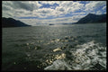 117087 Forested Islands & Mountains, Fiordo Campu, Chile A4 Photo Print