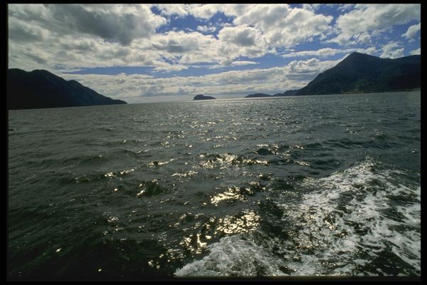 117087 Forested Islands & Mountains, Fiordo Campu, Chile A4 Photo Print