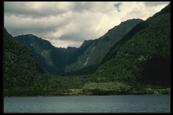 117088 Forested Islands & Mountains, Fiordo Campu, Chile A4 Photo Print