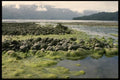 117098 Low Tide, Hornpiren, Chile A4 Photo Print
