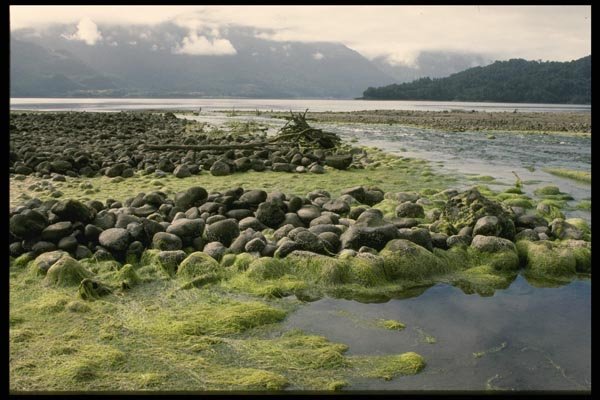 117098 Low Tide, Hornpiren, Chile A4 Photo Print