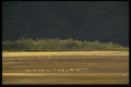 117099 Beach At La Arena, Chile A4 Photo Print