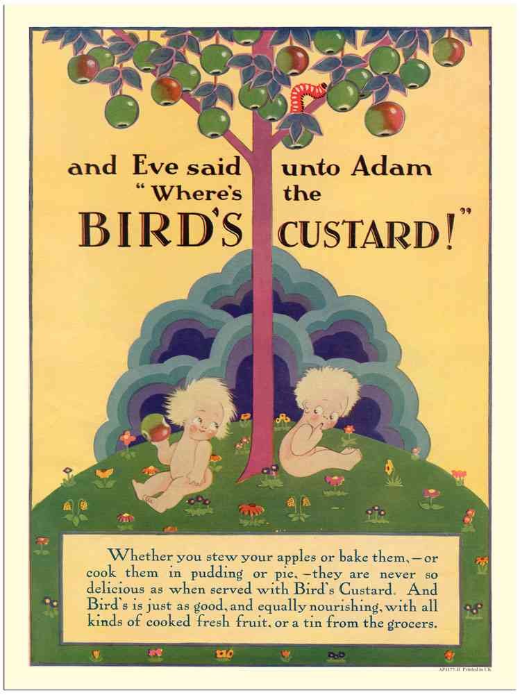 1177H Birds Custard Adam And Eve 1 1920S advert A4 Photo Print