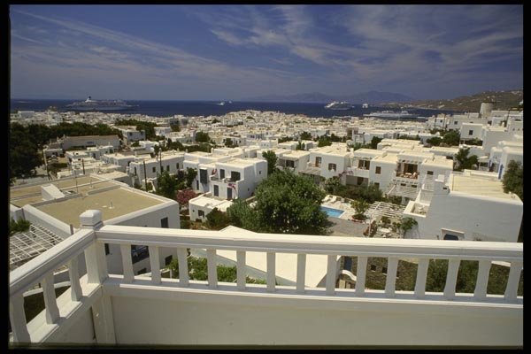 118023 Rooftop View Reveals Colorful Vegetation A4 Photo Print