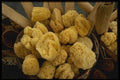 118075 Sponges Sold Down At The Wharf A4 Photo Print