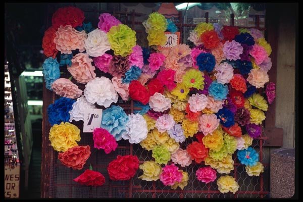119008 Olvera Street Flower Display A4 Photo Print