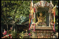 120006 Dieties In Three Buddha Temple In Central Hong Kong A4 Photo Print