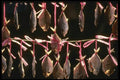 120048 Drying Fish Hanging At A Food Market In Hong Kong A4 Photo Print