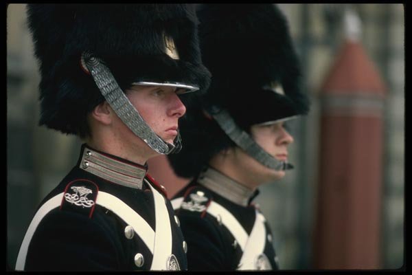 121083 Close up Of Queen's Life Guards, Amalienborg Castle A4 Photo Print