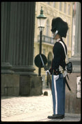 121087 Queen's Life Guard In Front Of Columns A4 Photo Print