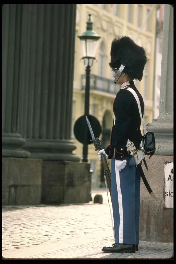 121087 Queen's Life Guard In Front Of Columns A4 Photo Print