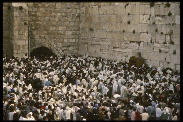 122009 Massive Blessing Of Jewish Torahs At Western Wall A4 Photo Print