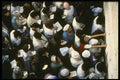 122011 Passover Prayers At Women's Section Of Western Wall A4 Photo Print