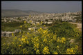 122071 Cana Of Galilee, Site Of Jesus' First Miracle A4 Photo Print