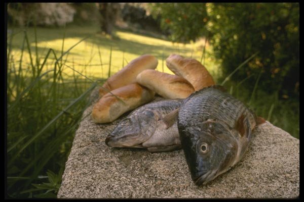 122082 With Two Fish And Five Loaves, Jesus Fed 5000 Plus A4 Photo Print