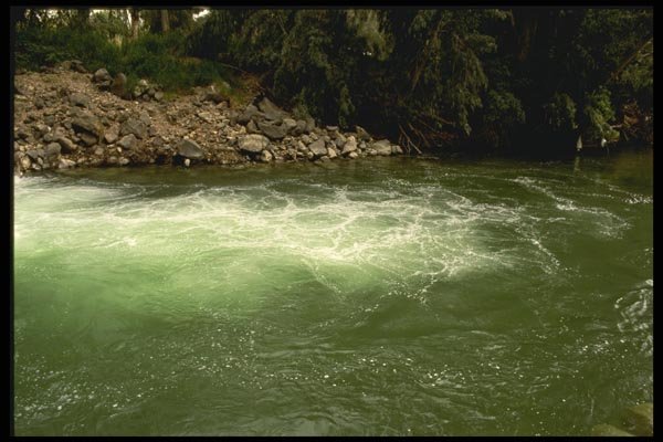 122091 River Jordon, Jesus Was Baptized Here By John The Baptist A4 Photo Print