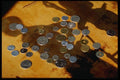 125023 World Coins On Shadows A4 Photo Print