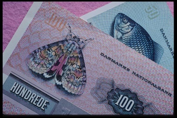 125045 Danish Krone A4 Photo Print