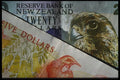125048 New Zealand Dollar A4 Photo Print
