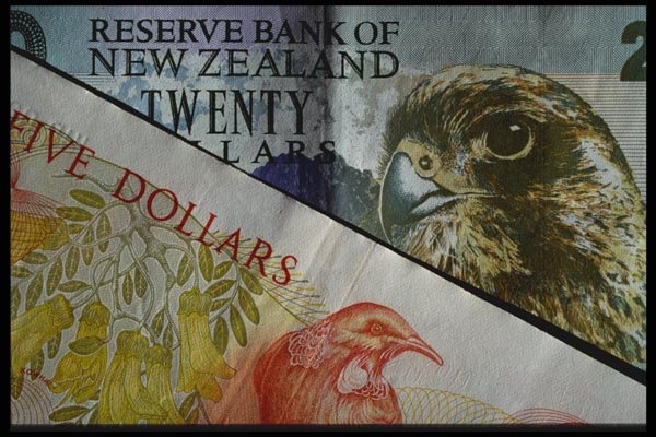 125048 New Zealand Dollar A4 Photo Print