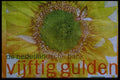 125074 Close Up, Dutch Guilder A4 Photo Print