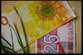 125076 Netherlands Bills A4 Photo Print