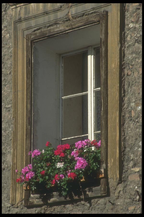 126009 Typical Window A4 Photo Print
