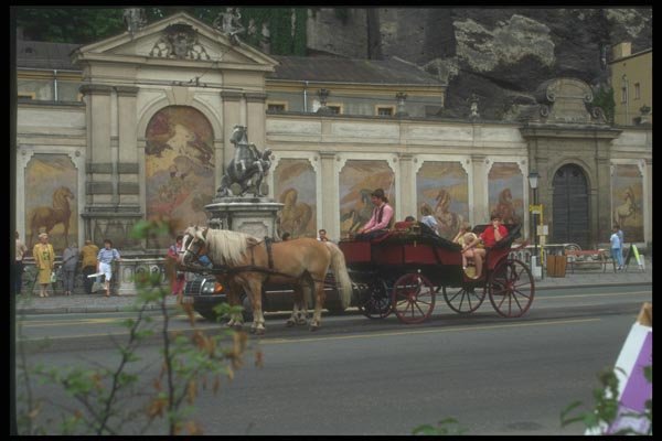 126072 Horse And Carriage At Water Hole A4 Photo Print